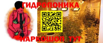 сатива Кумертау