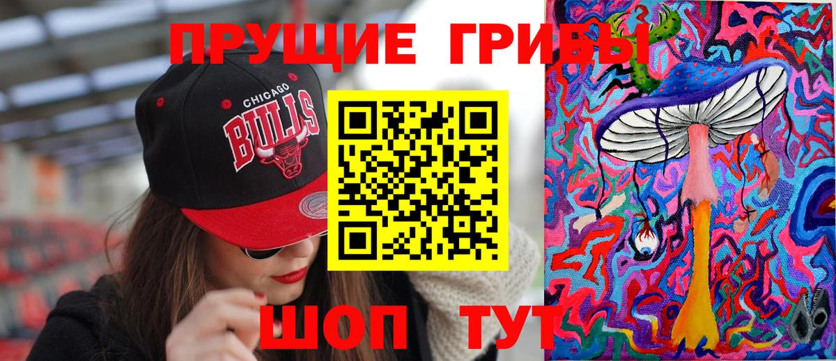 Гай  цены   Вход с VPN  Галлюциногенные грибы MAGIC MUSHROOMS 